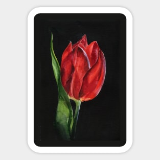 Tulip Sticker